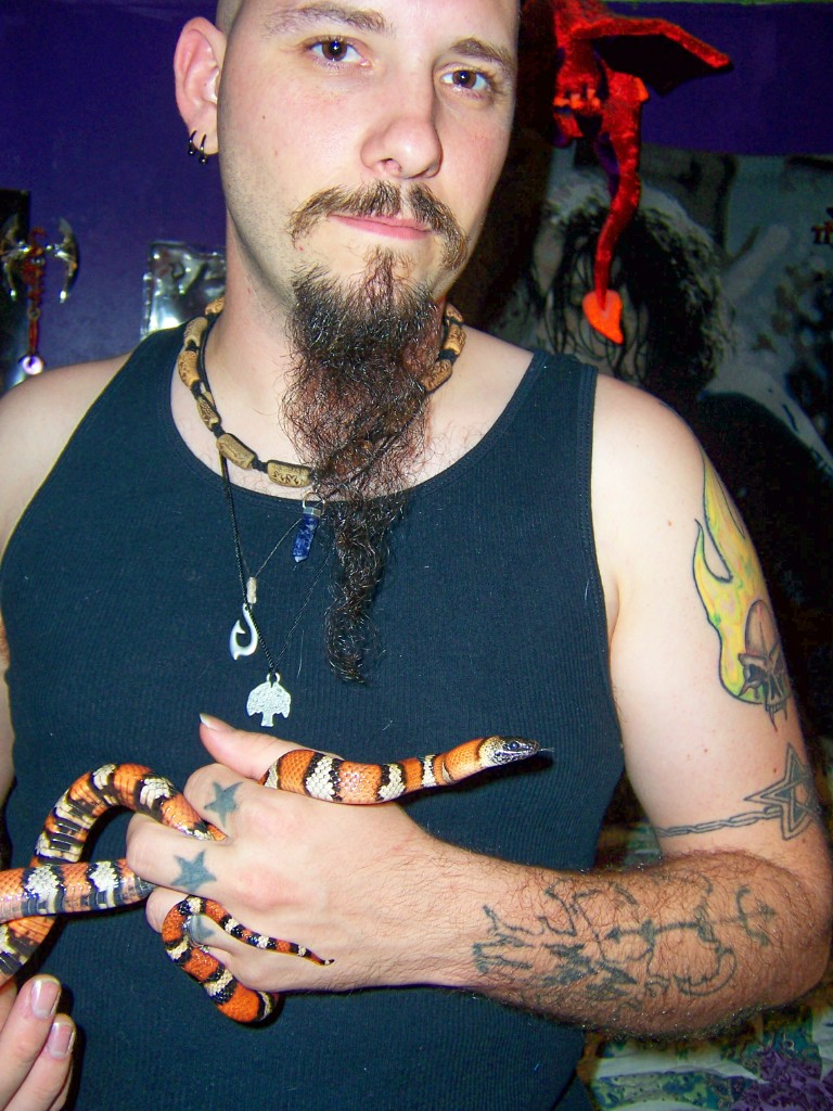 Variable Kingsnake