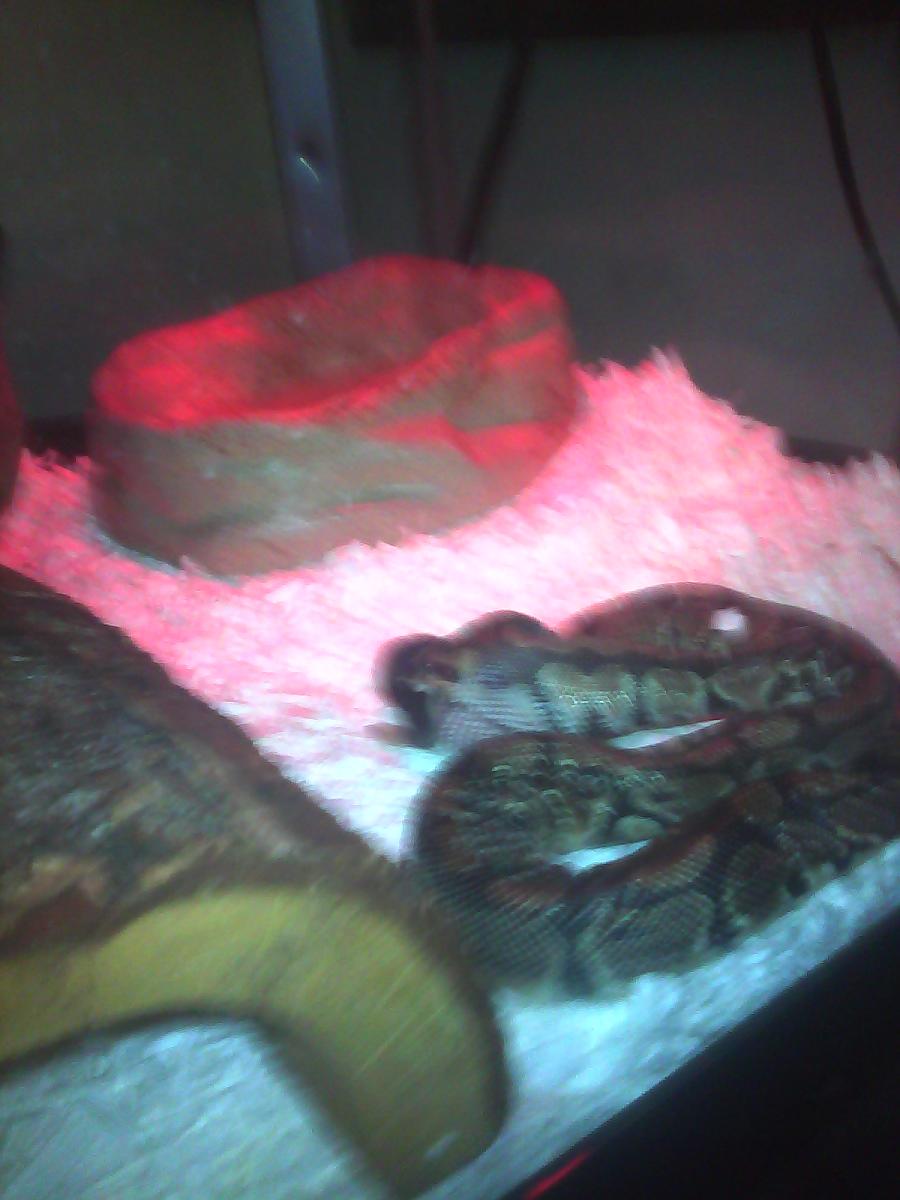 Demon Eating