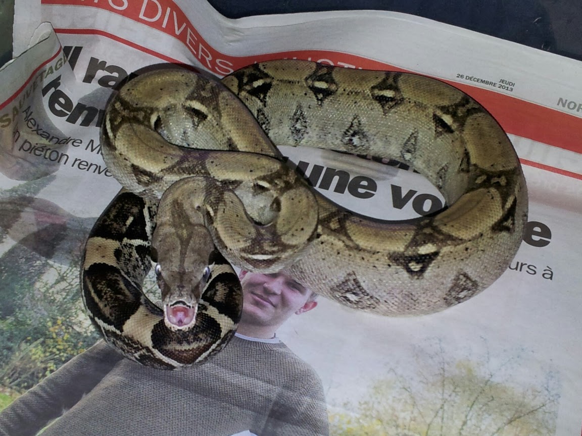this boa doesn't like me at all