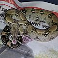 this boa doesn't like me at all