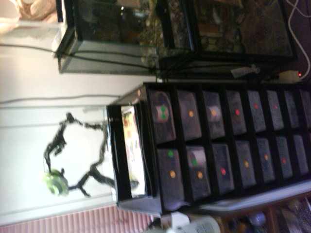 My collection and Breeding