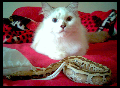 Czarina's Pets