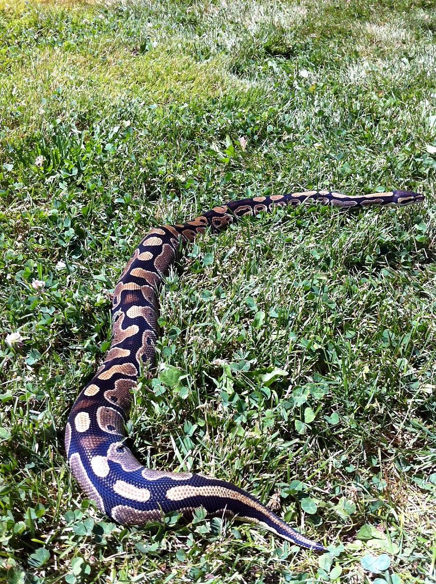 Lilith's first time outside