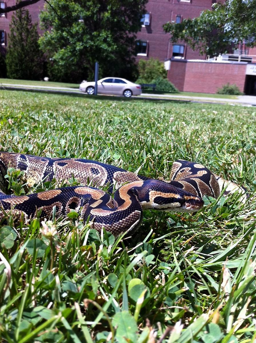 Lilith's first time outside