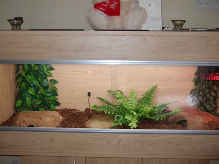 Princess Tank setup
