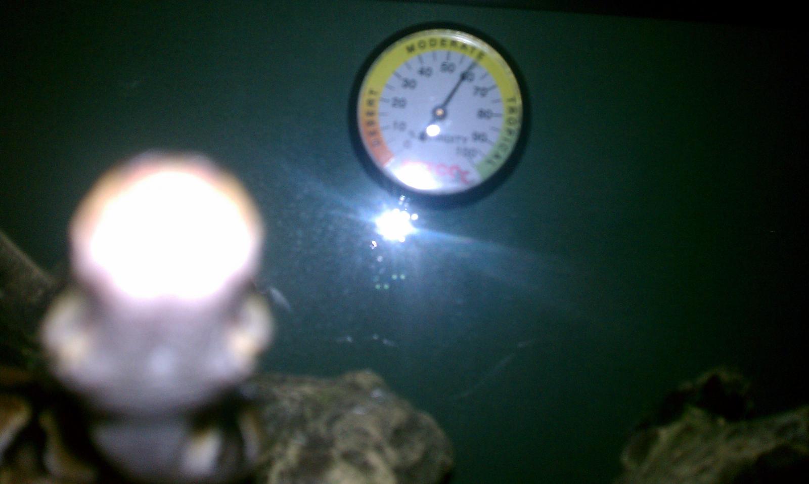 imag0715