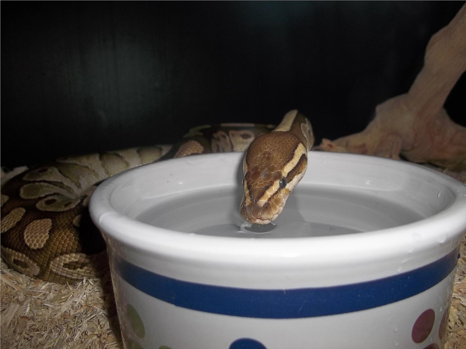 Thirsty Girl