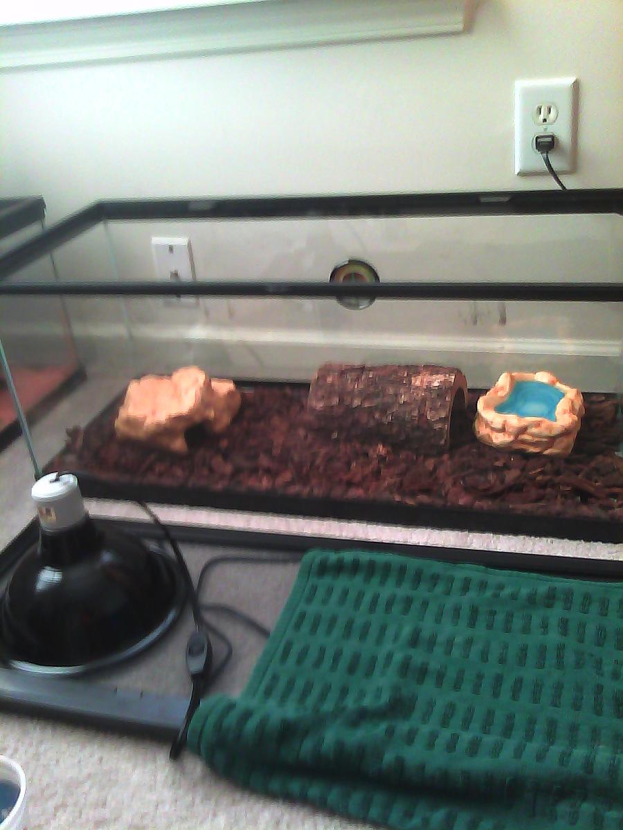 His Tank