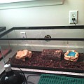 His Tank
