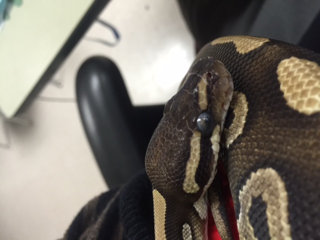 Possible stuck eye cap?