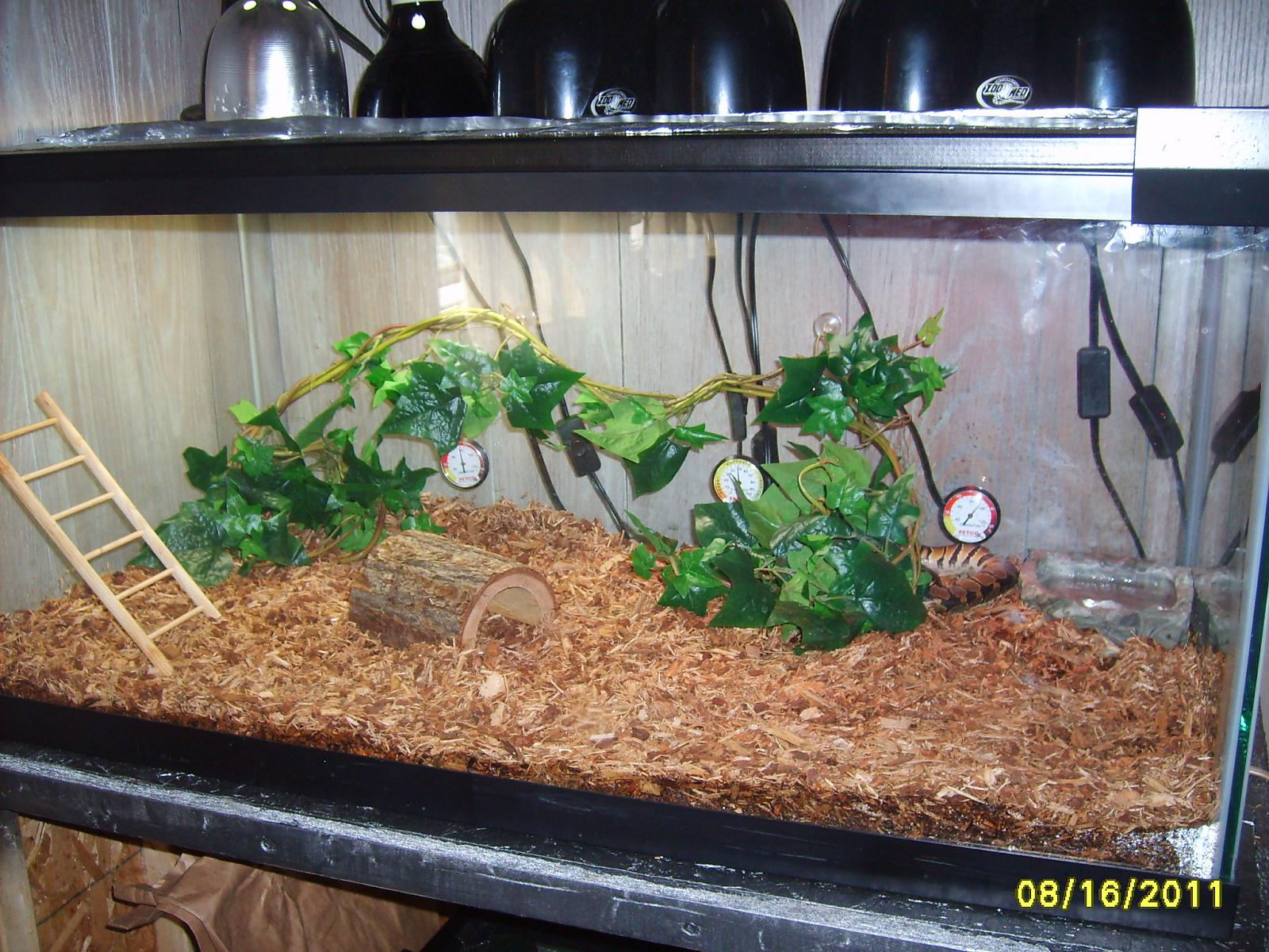Camo's 2nd shed