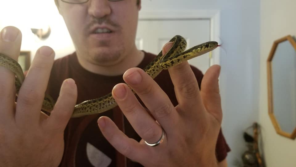 A man and his snake