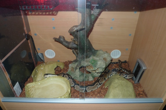 My Bp Setup
