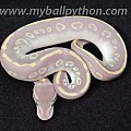 Mystic x Phantom