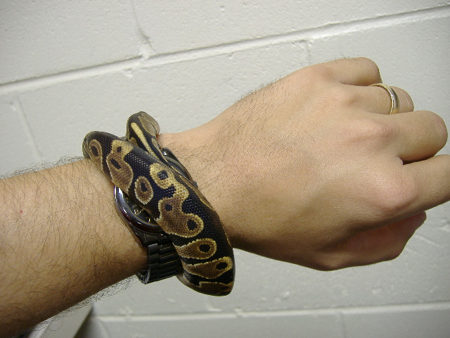 Bracelet 1