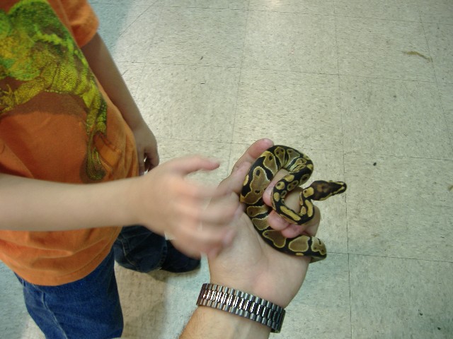 4-Year Old petting...