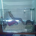 2011-09-01 12-57-33 839