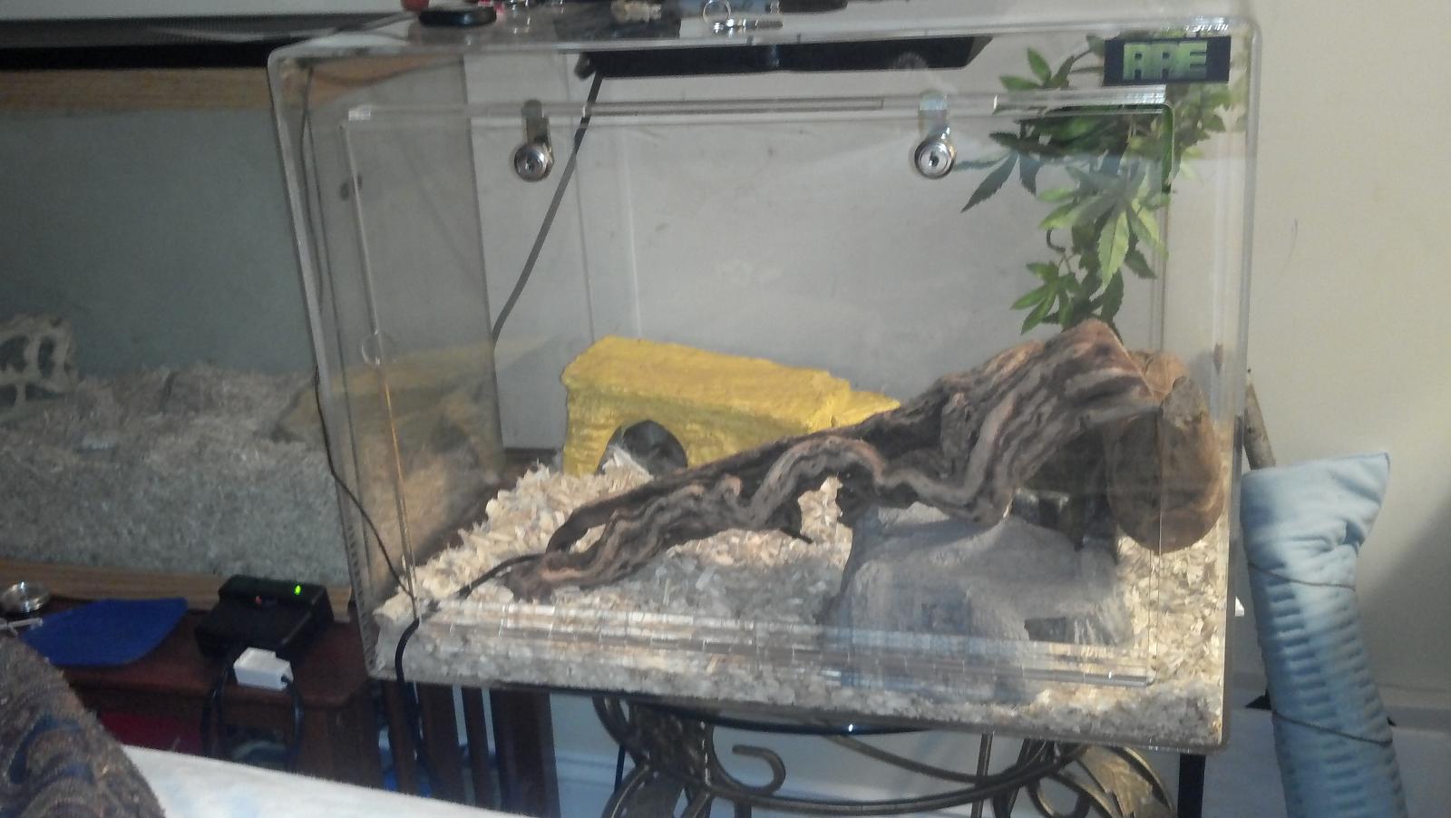 Hog Island Setup