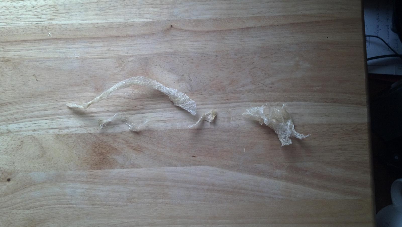 first shed. october 2 2011