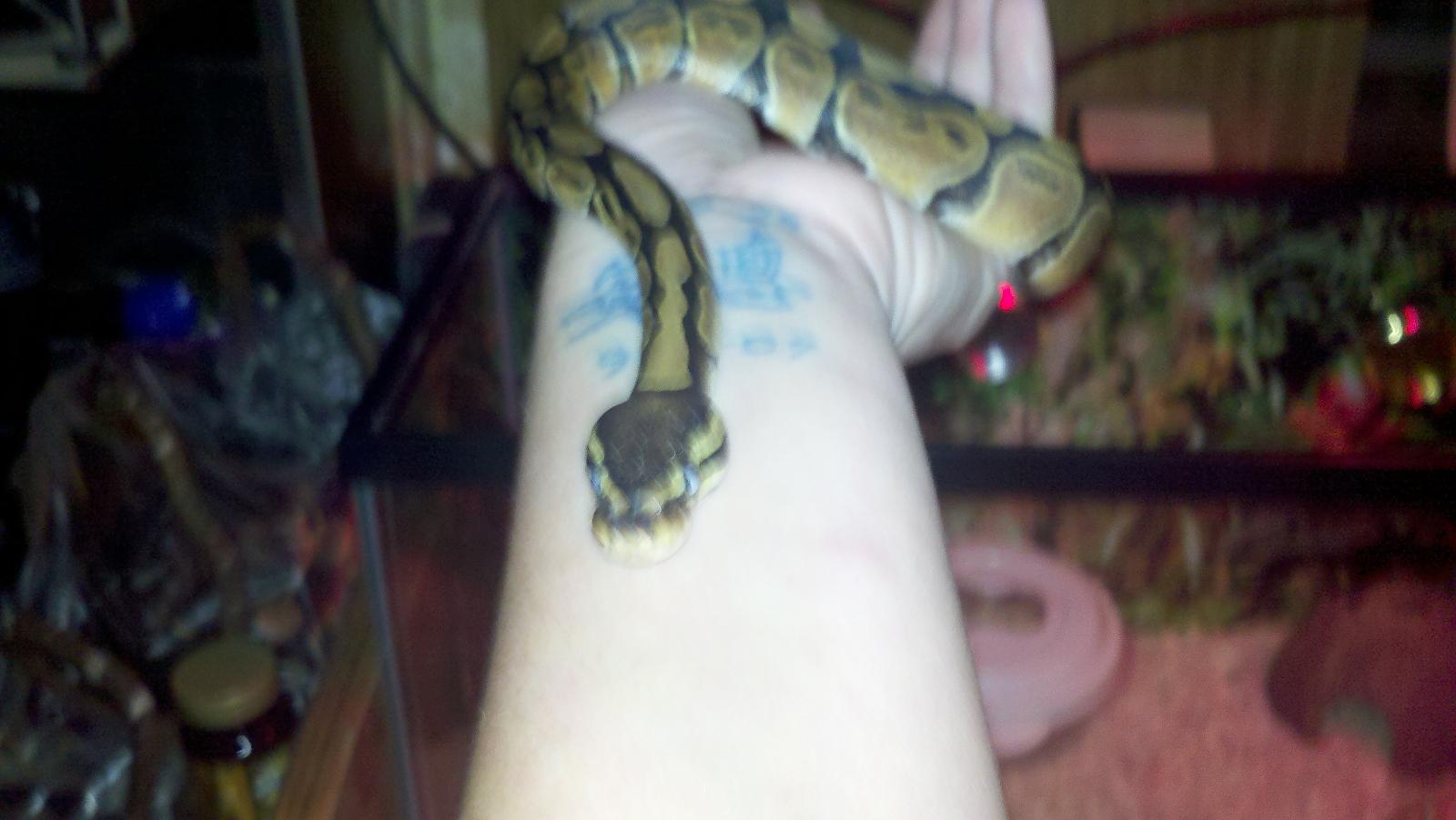 Post Shed