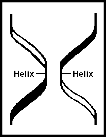 double helix-bare
