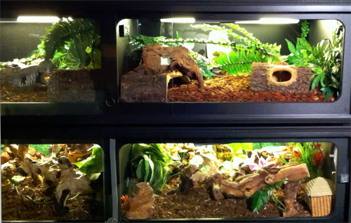 snakey condos