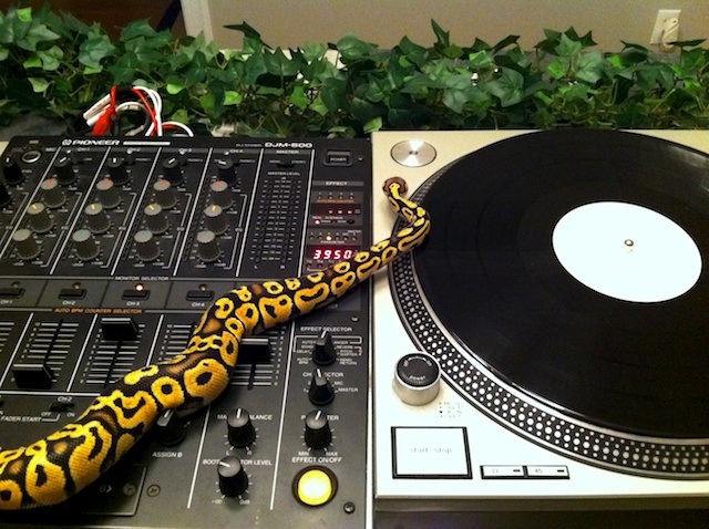 Norman DJing