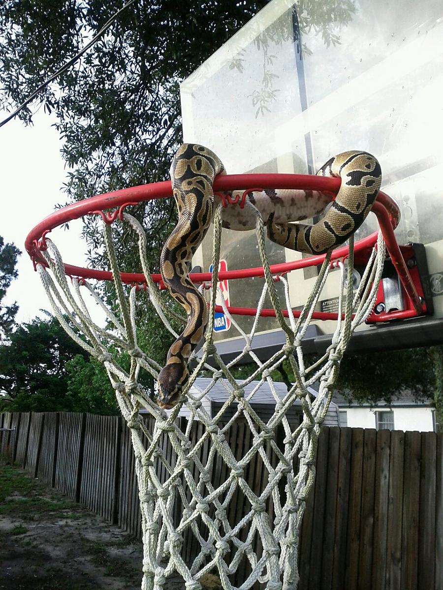 Getting some hang time 