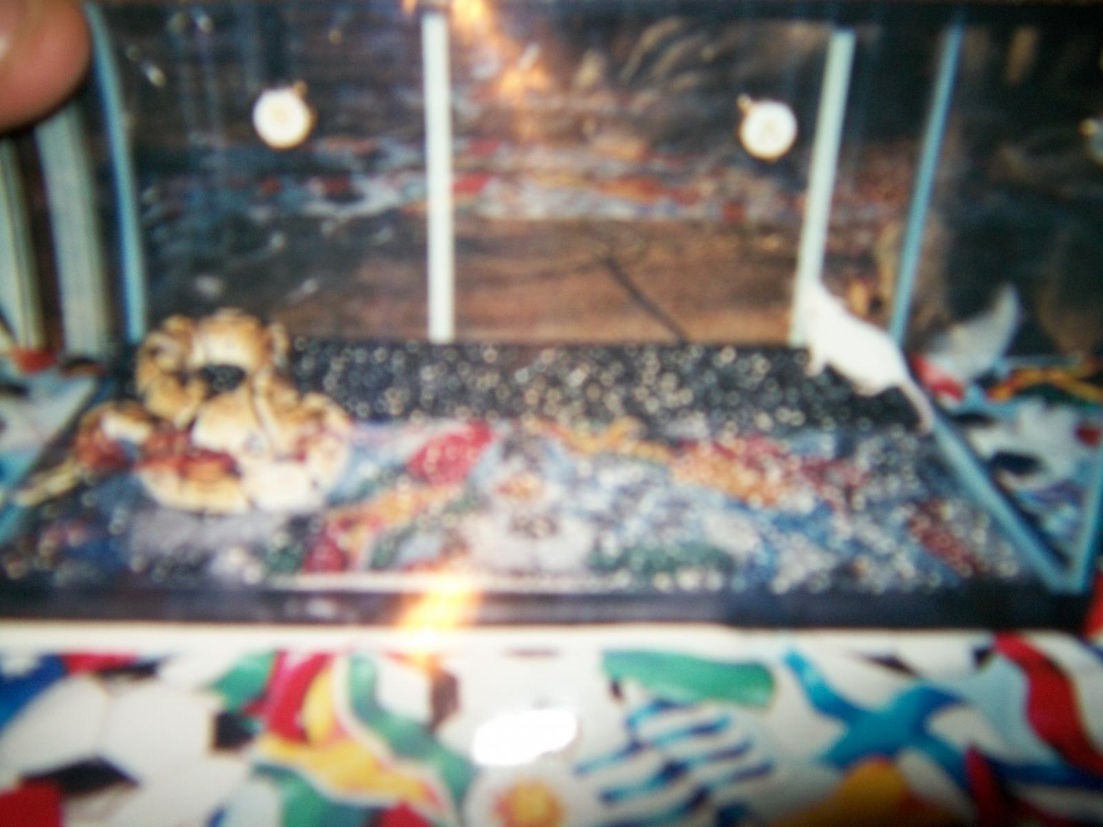 my pics