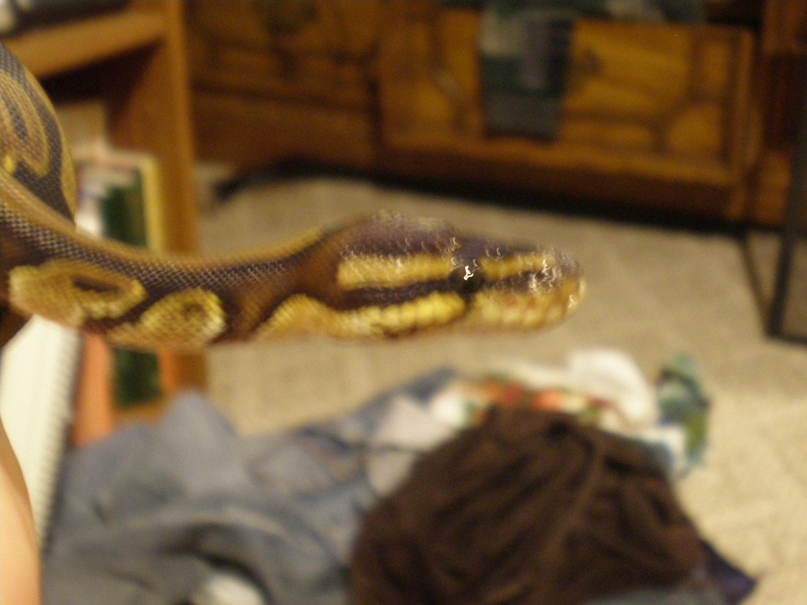 joby up close