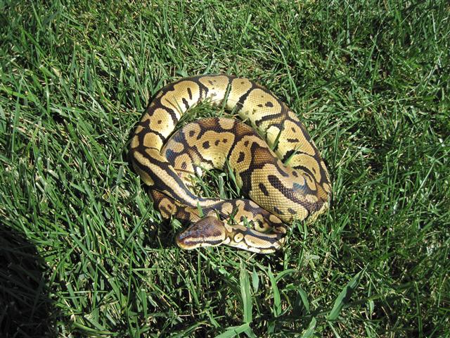 img 0300 small