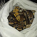 Unpackaging N.E.R.D. Facebook Auction