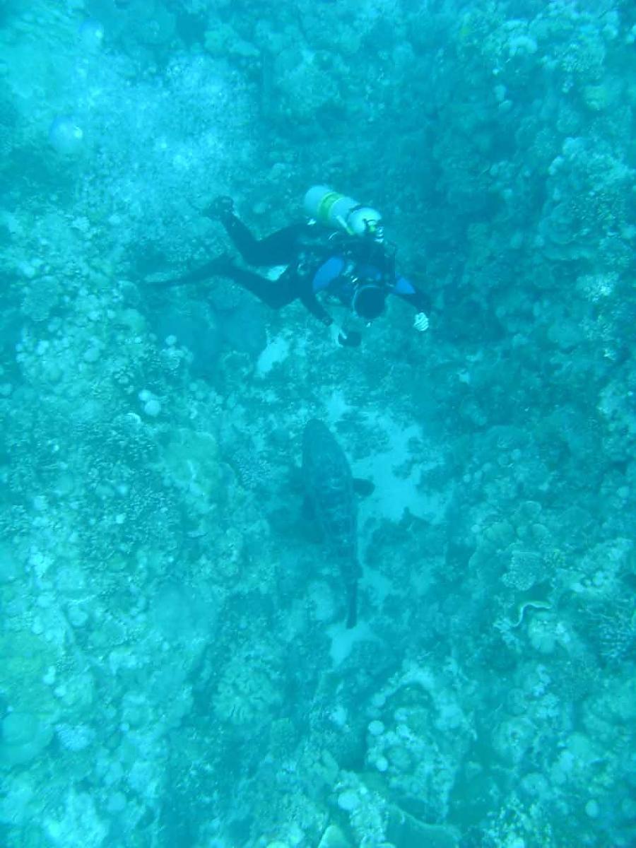 Me and Potato cod