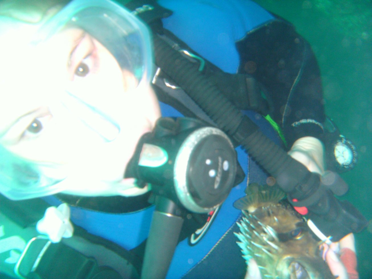 Holding a puffer fish
