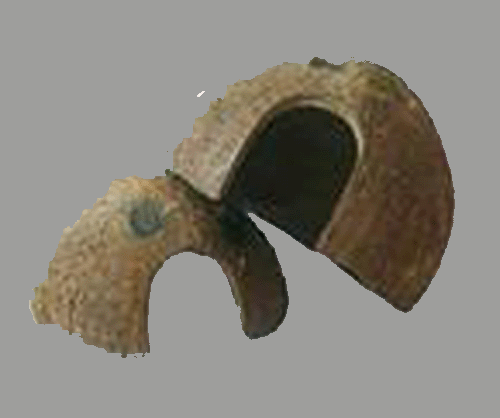 coco domes