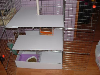 cage1