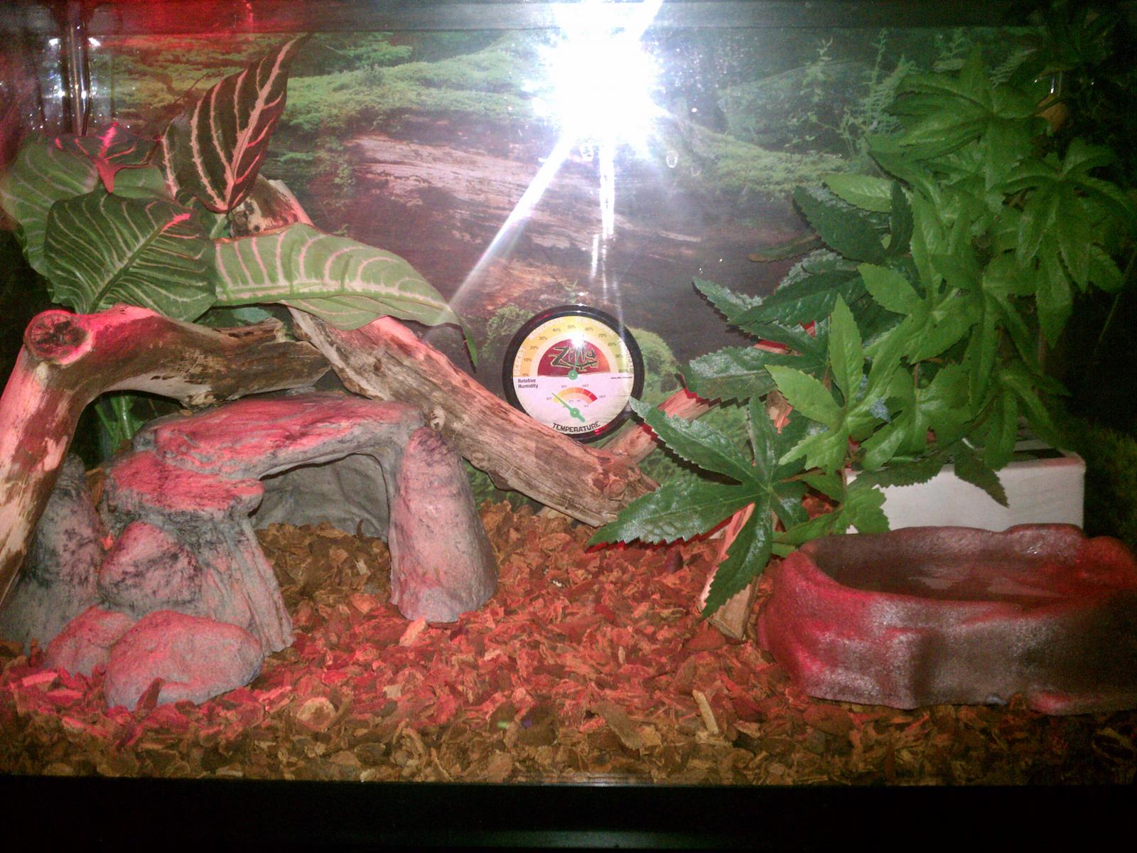 finished his new home