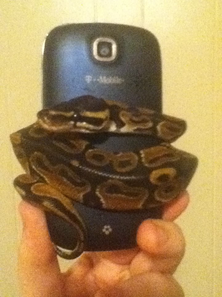 Spartacus' Phone