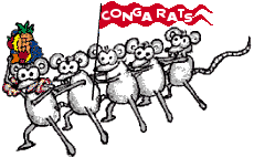 Conga Rats!