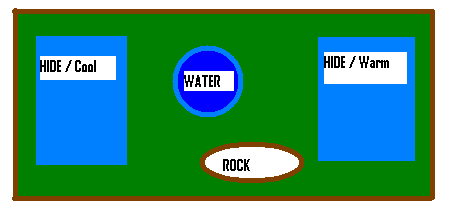 BP Cage setup