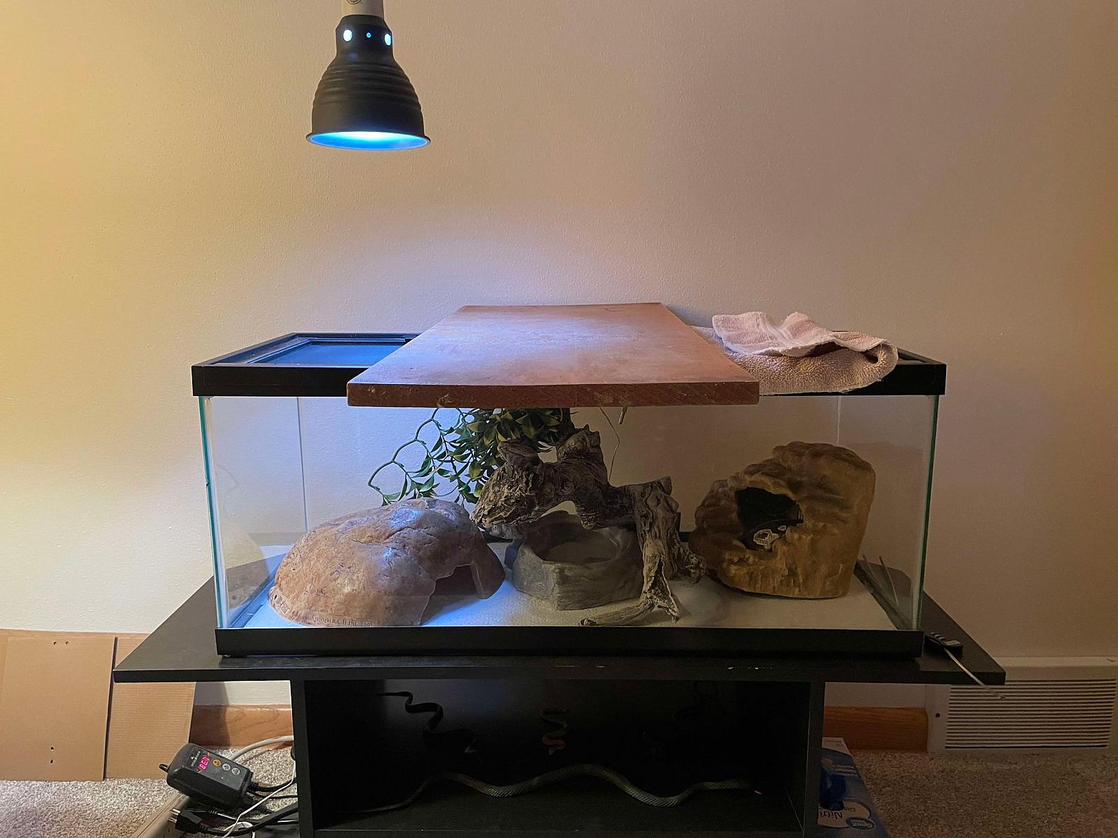 Tank set up