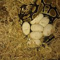 img 20140314 150834