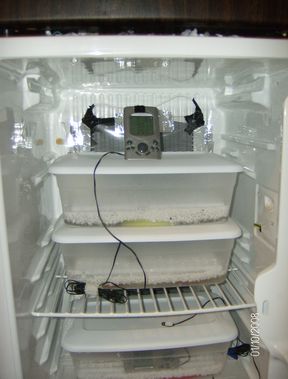 Incuboator 2