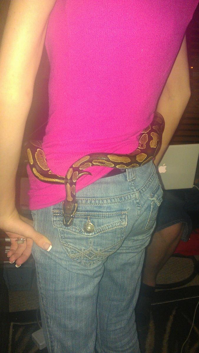 me with the ball python
