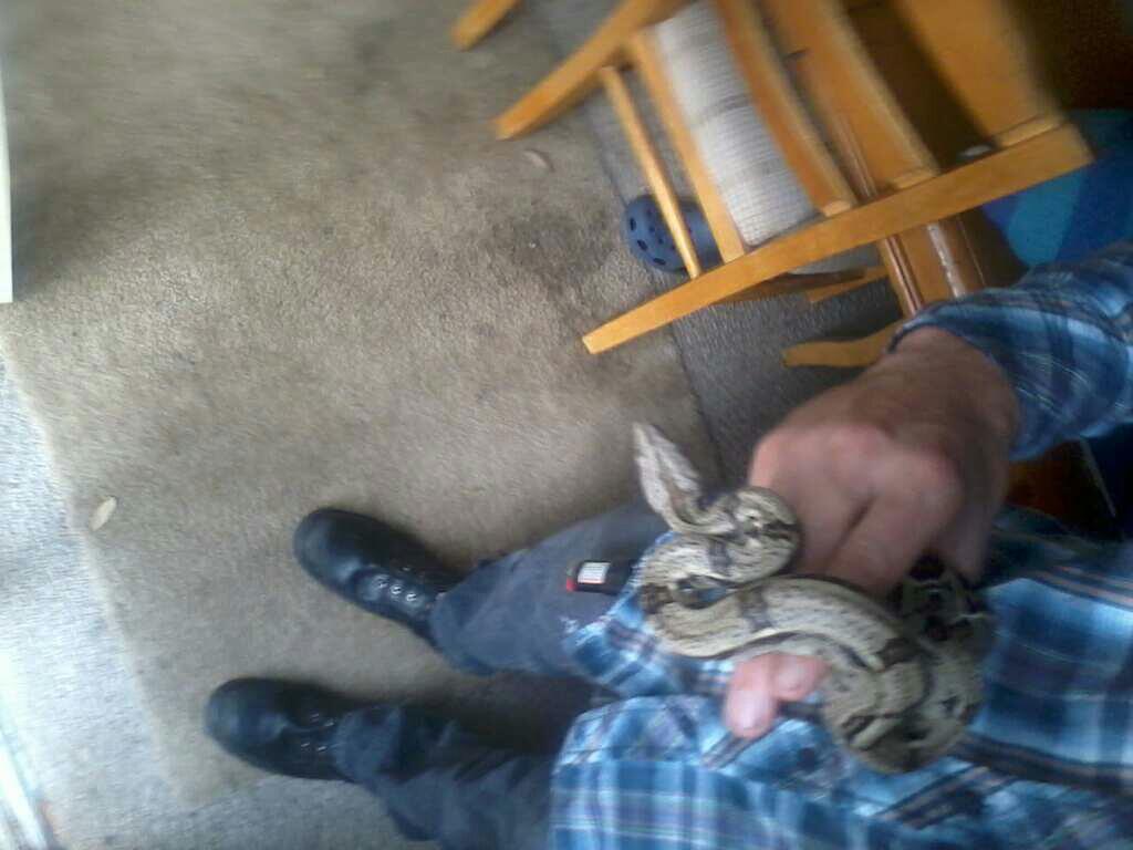my husband with the red tail boa