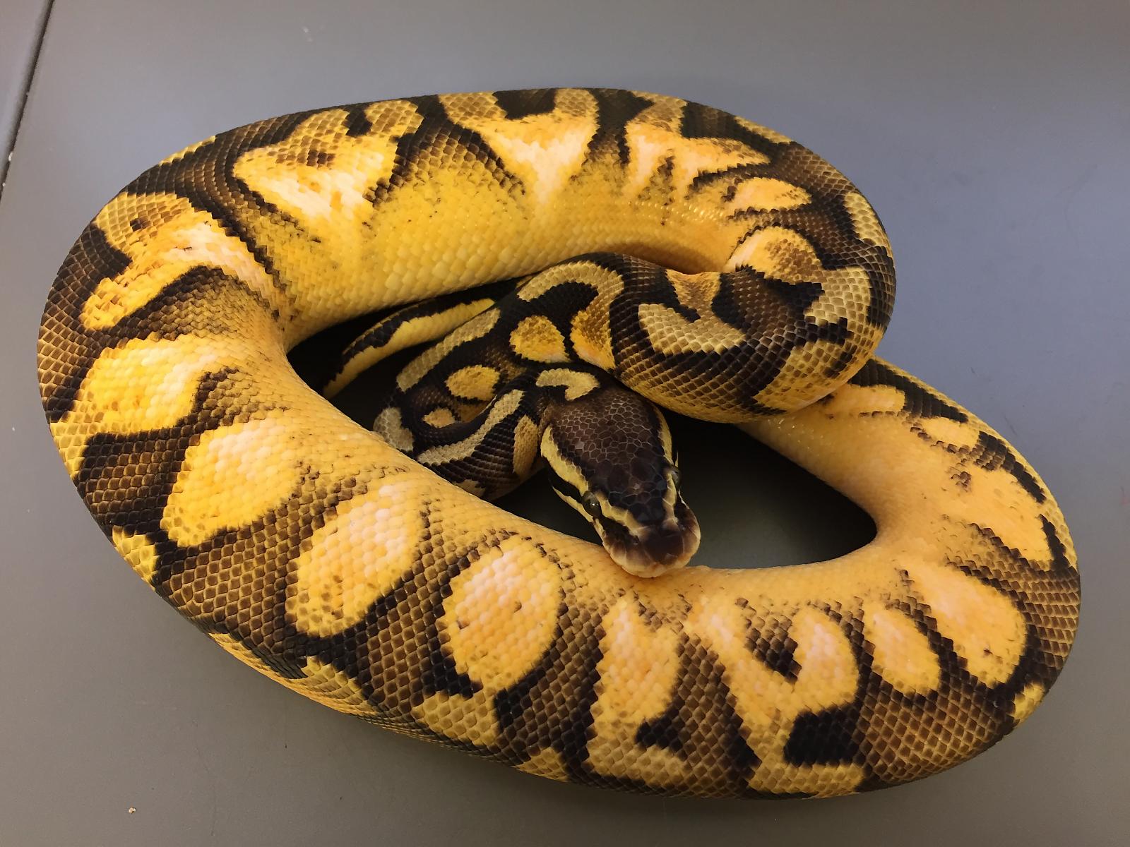 image 138622