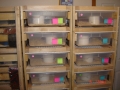 Racks/pastel