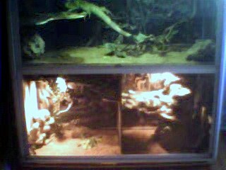 My Zoo
