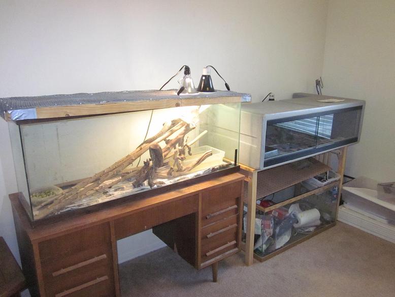 Snake Den #2