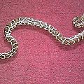Snakes